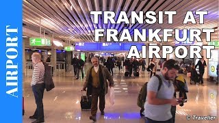 TRANSIT WALK AT FRANKFURT Airport FRA Terminal 1  Connection Flight Transfer Arriving amp Departing [upl. by Nosimaj345]